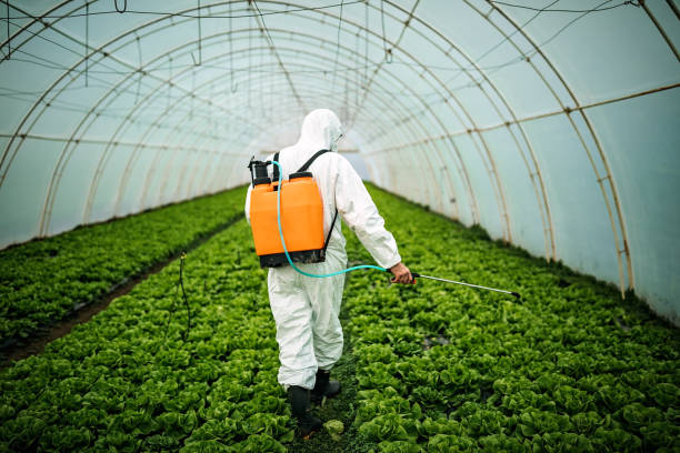 Best Affordable Pest Control Services  in Coal City, WV
