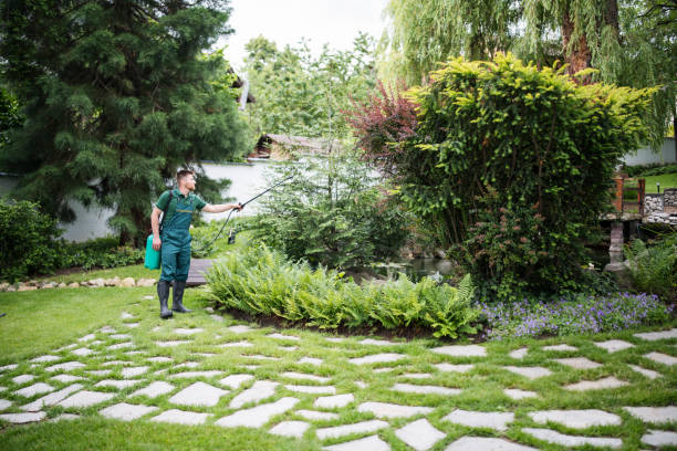 Wasp Removal Services in Coal City, WV