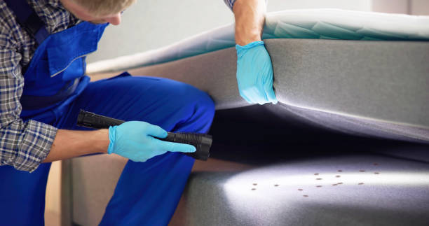 Trusted Coal City, WV Pest Control Experts