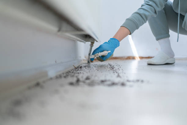 Pest Control for Restaurants in Coal City, WV
